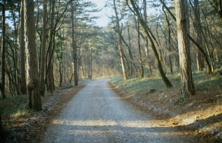 Caminho do Amor