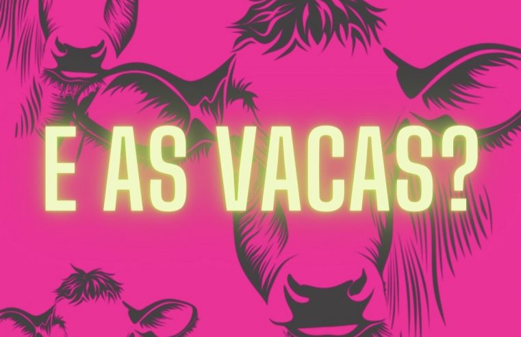 “E as Vacas?”